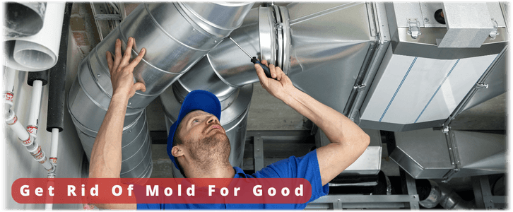 Air Duct Mold Removal in Woodstock IL